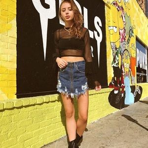 LF Mesh Ruffled Sleeves Top